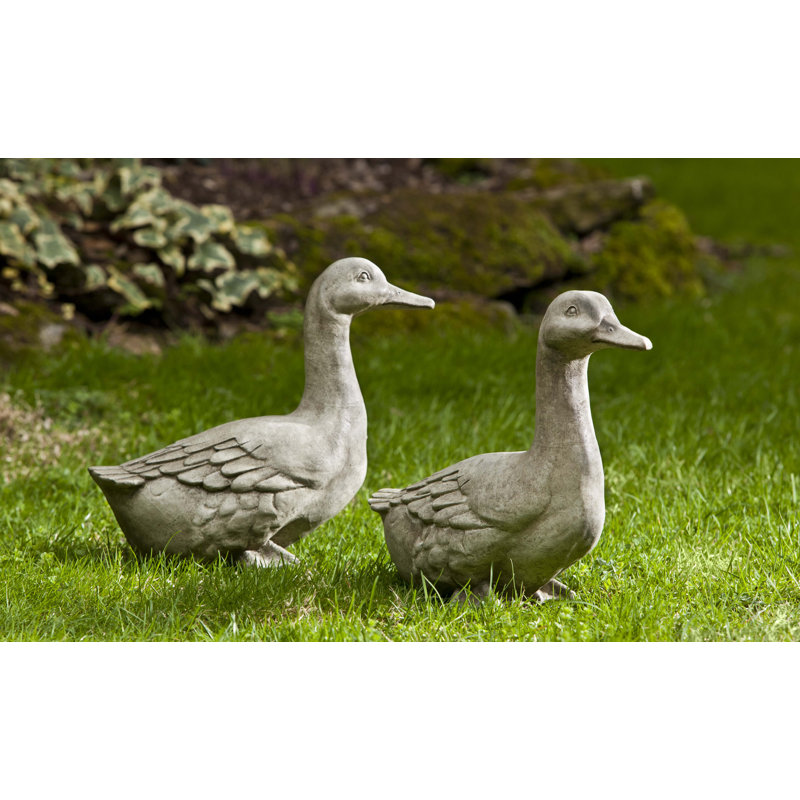 Quackers Statue, Pietra Vecchia
