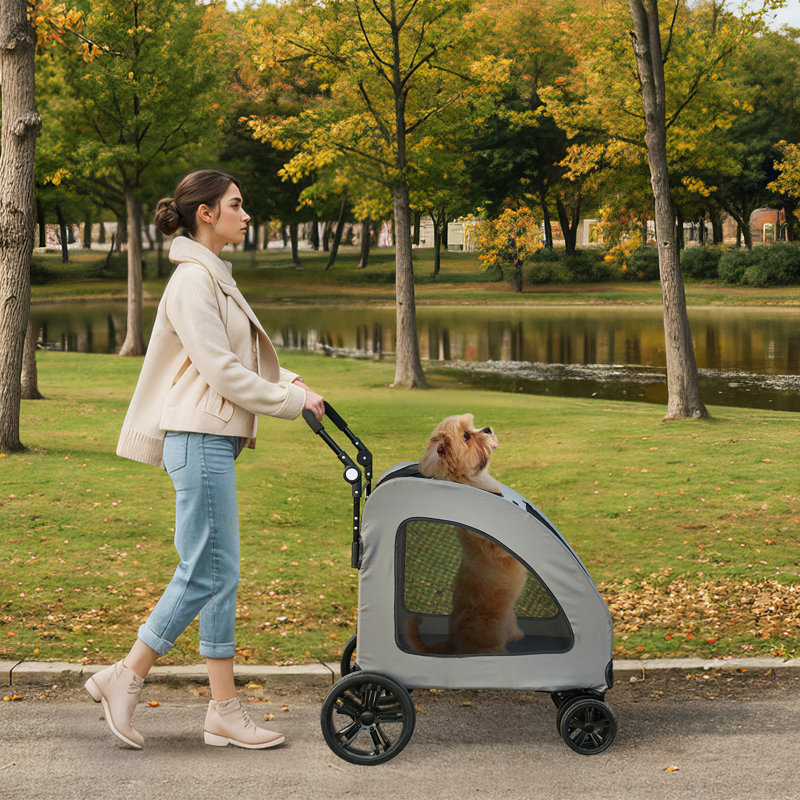 Foldable Pet Stroller