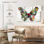 Couleurs de papillon Brampt-108007810