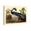 Louisiane héron - Impression sur toile-63582450-63582455-119891341