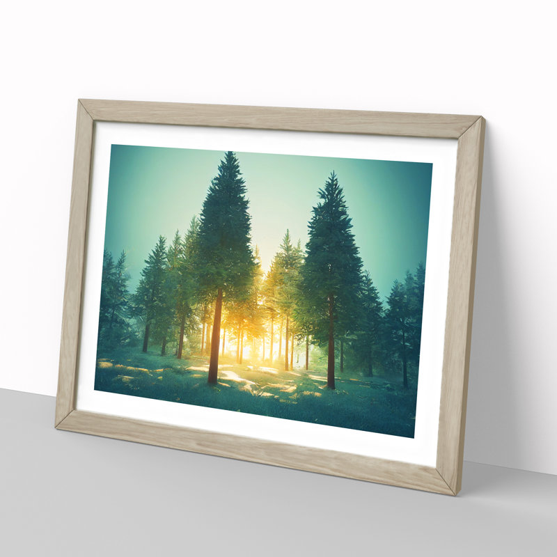 Spectacular Pine Tree Forest - Framed Print, 46cm H x 64cm W x 2cm D, Oak