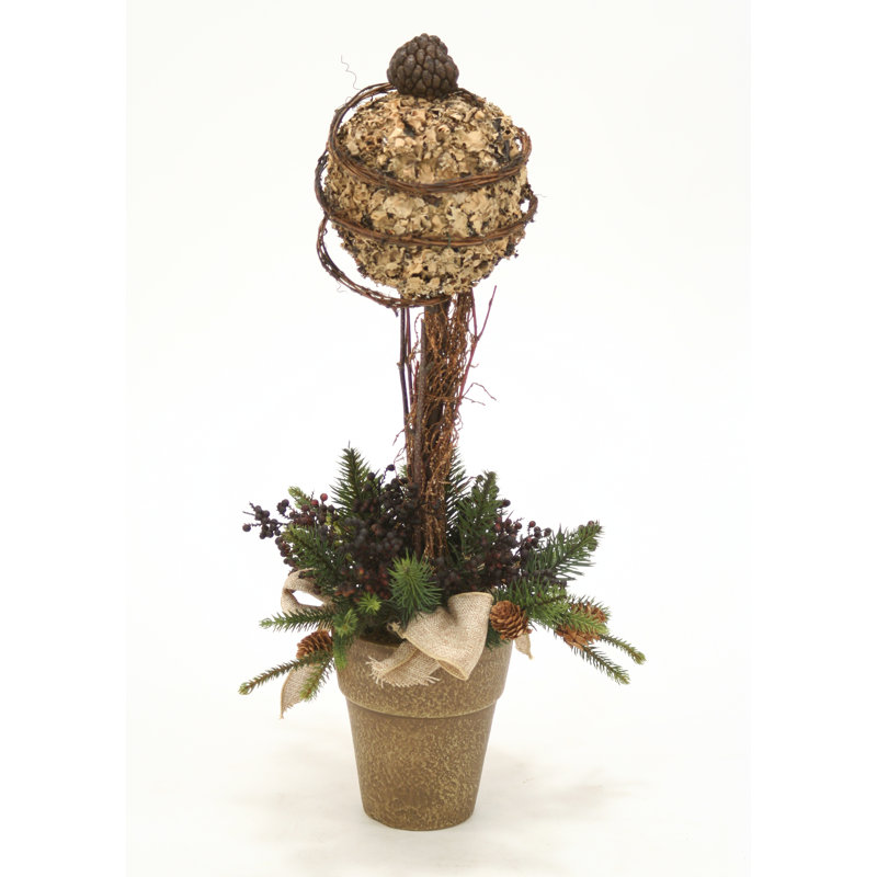 Boule de lichen topiaire en pot français