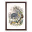Animal Kingdom Illustration by Oliver Goldsmith - Single Picture Frame Painting-55545210-55545214