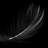 Dark Feather - Wrapped Canvas Print-133484830