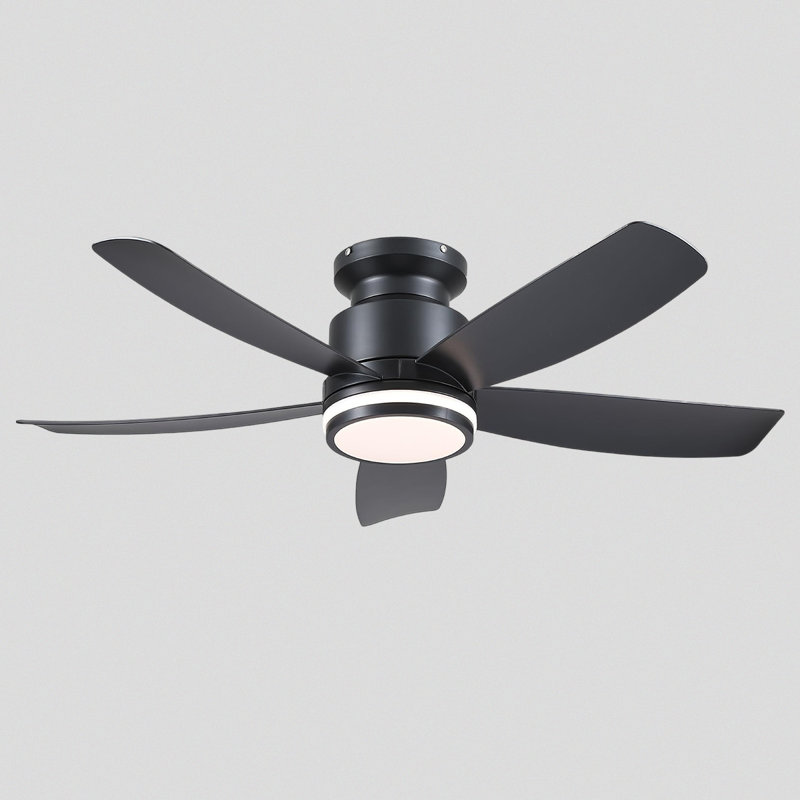 Ventilateur, Noir
