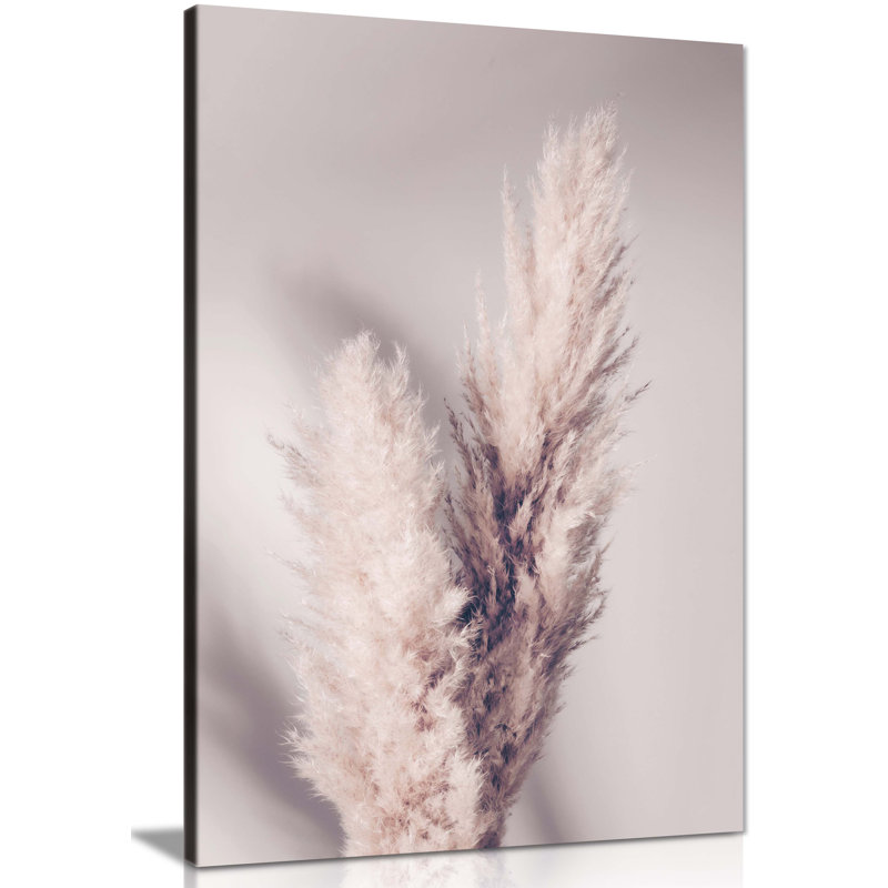 Dried Pampas Grass And Its Shadow - Wrapped Canvas Print, 31cm H x 20cm W