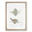 Dragon Lizard by John Edward Gray - Framed Print-55545483-55545487