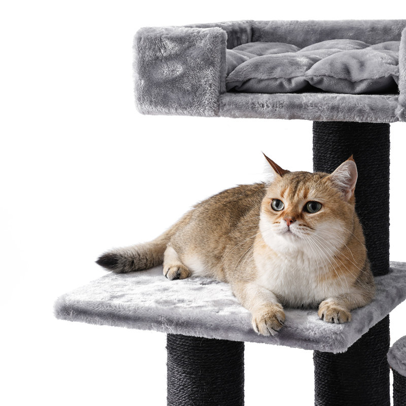 Arbre à chat 48,4 po H pour grands chats et MaineCoon, Gris foncé