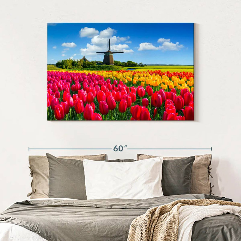Champ de tulipes Alvord Holland, H 32 po x l 48 po