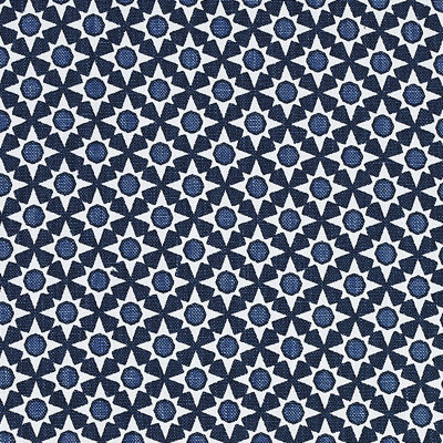 Serendipity Fabric