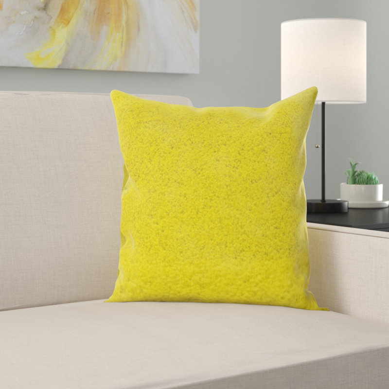 Coussin décoratif