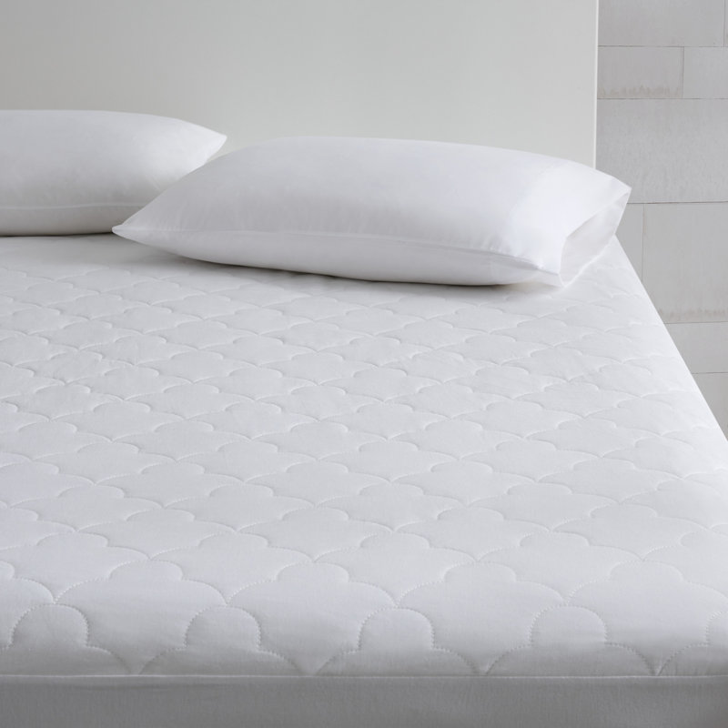 Alwyn Home All Natural Cotton Percale Quilted Mattress Pad & Reviews ...