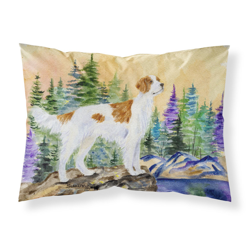 Setter Microfiber