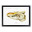 Velodona Octopus by Carl Chun - Picture Frame Painting Print-55605048-55605052