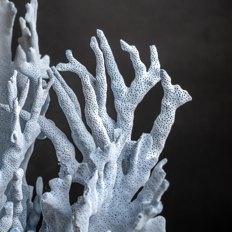Genuine Blue Ridge Coral (20", 23 Lbs)