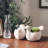 Chaman Handmade Pot Planter