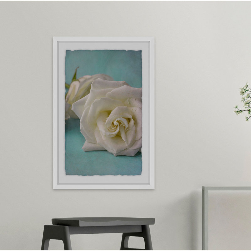 The Original White Rose by Judy Stalus - Print, 91cm H x 61cm W x 4cm D, White Framed with Deckled Edges
