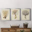 Esper Sea Fans IV - ensemble de 3 peintures sur toile encadrées-1921270027-1921270028