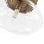 Minimalist 1-Light Water Rippled Clear Glass Dual-Mount Semi Flush