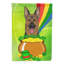 Drapeau de jardin Arella St. Patrick's-1113956423