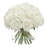 Roses Arrangement in Vase-193444450