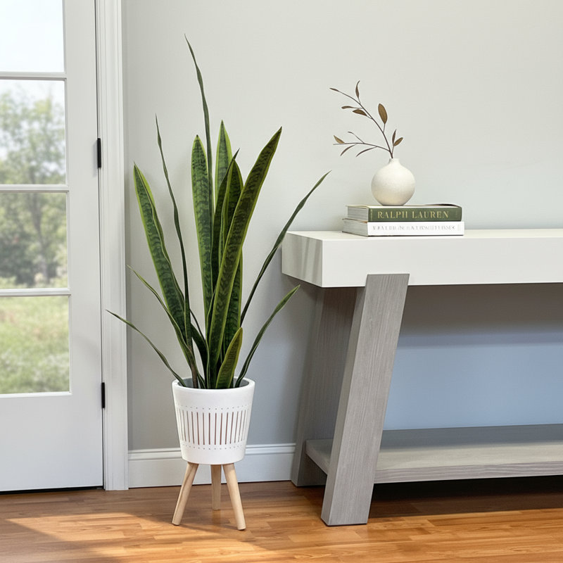 Jardinière en céramique avec pieds Snake Plant