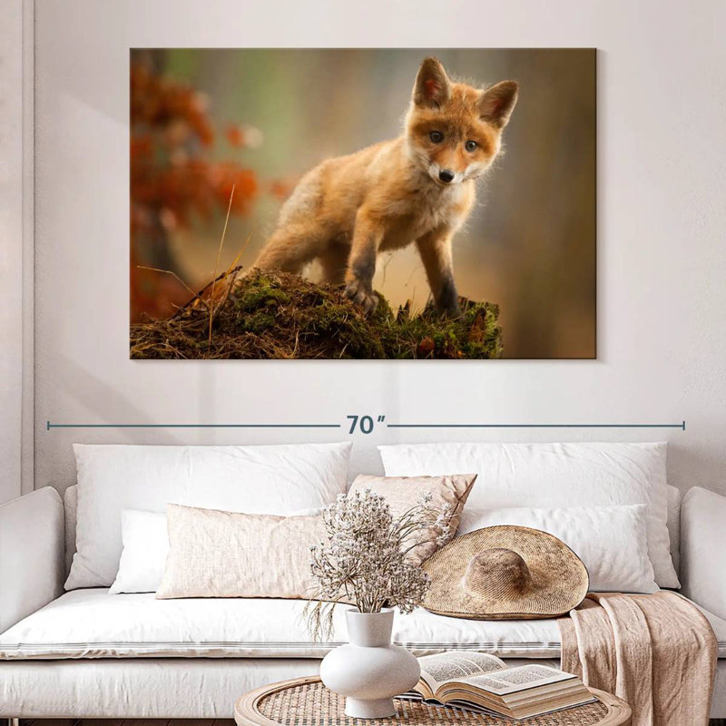 Brampt bébé forêt renard
