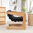 Karoll Chisara Upholstered Armchair-1966047933