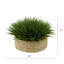Gazon artificiel 8 po dans un panier-1972723835-1972723833-1941322100