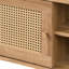 Anagh  & Rattan 1 Door Small Tv Stand Unit