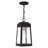Antionetta Outdoor Hanging Lantern-448062609