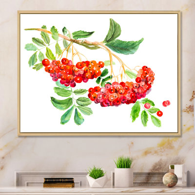 " Red Viburnum Opulus Leave "
