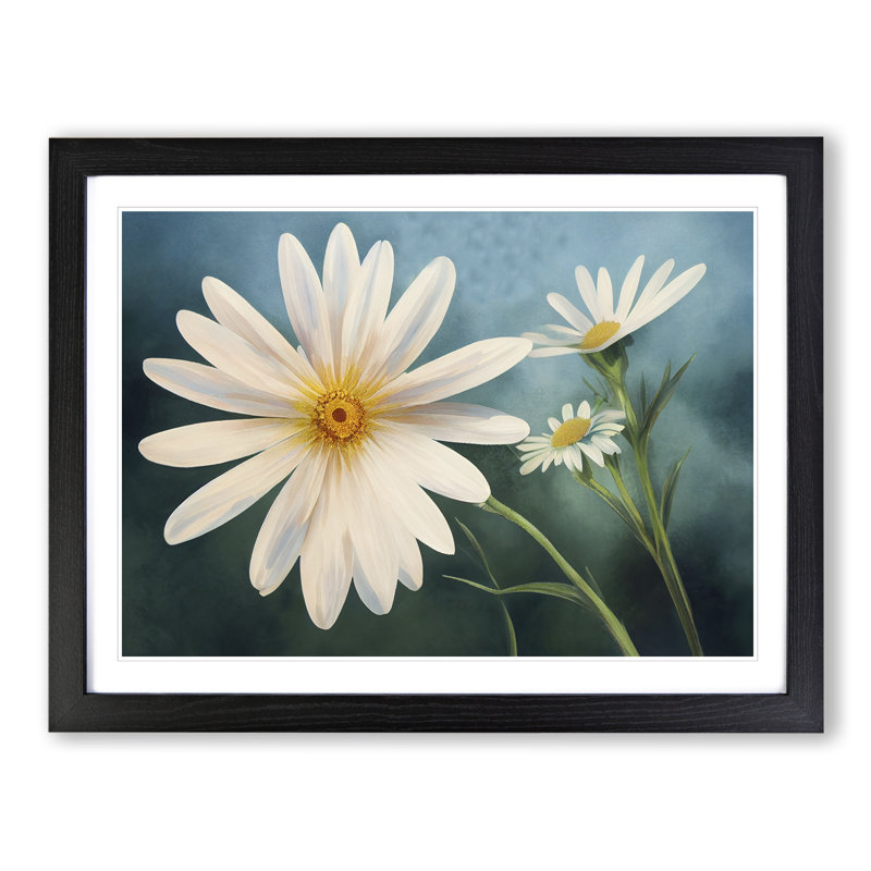 Extraordinary Daisy Flowers - Framed Print, Black Framed, 46cm H x 64cm W x 2cm D