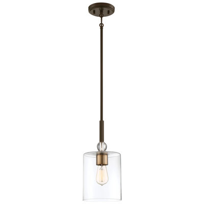 Ivy Bronx Friedman Clear Glass Pendant Light