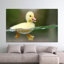 Printed Canvas Artwork: Elegant Baby Duck Wall Decor for Kids Room,1P GoldFramedCanvas