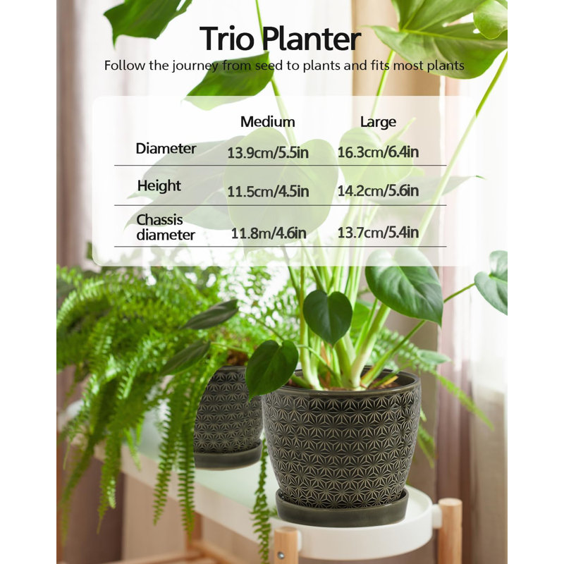 Ensemble de 2 pots en céramique verte (6,5 po + 5,5 po) avec drainage