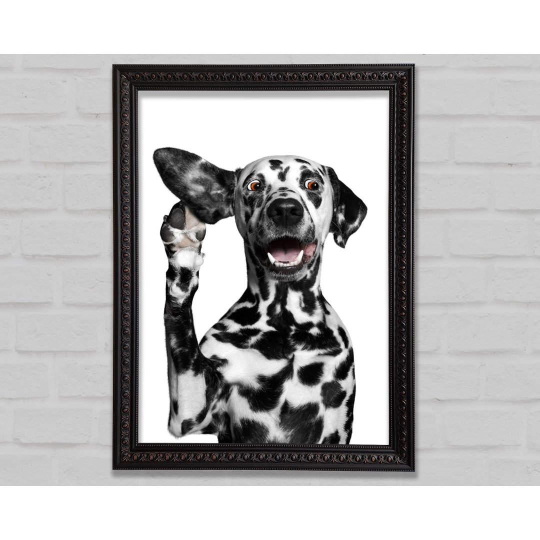 Dalmation Dog High Five - Einzelner Bilderrahmen Kunstdrucke