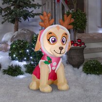 https://assets.wfcdn.com/im/89683768/resize-h210-w210%5Ecompr-r85/1912/191224439/Skye+from+Paw+Patrol+Inflatable.jpg