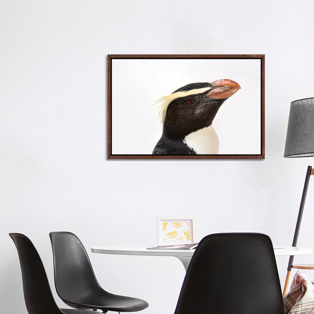 A Fiordland Penguin At The Taronga Zoo von Joel Sartore - Galerie-verpackte Leinwand Giclée auf Leinwand