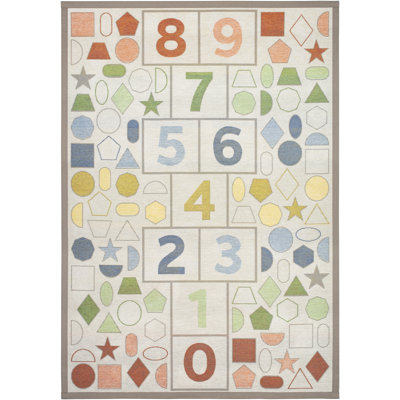 Area Rug