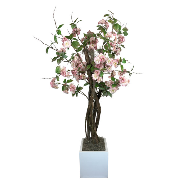 Set of 3: White Cherry Blossom Branches with Lifelike Silk Flowers, 36-Inch, Floral Stems, Spring Accents, Party & Event, Home & Office  Decor