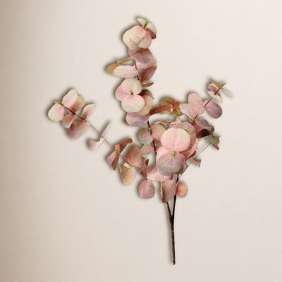 Velvet Eucalyptus Stems