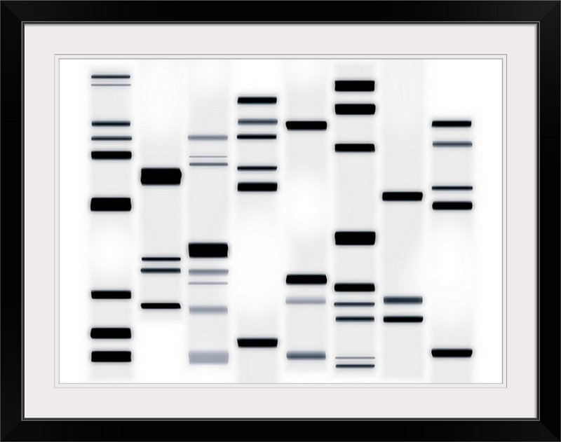 «ADN Art» par Francy, impression en noir et blanc, H 25 po x l 32 po x P 1 po, Cadre noir
