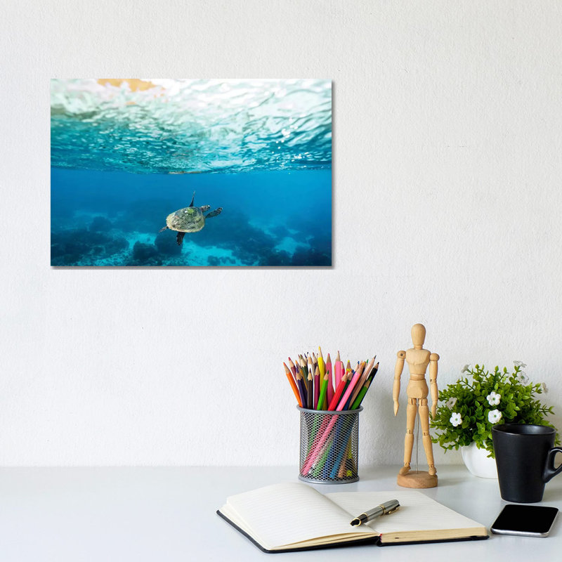Green Sea Turtle Under The Surface by James Vodicka - Wrapped Canvas Gallery-Wrapped Canvas Giclée, 20.32cm H x 30.48cm W