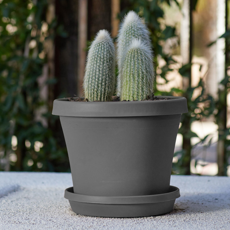 Terra Traditional Plastic Indoor/Outdoor Pot Planter, Charcoal, 10.75" H x 13" W x 9" D