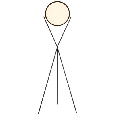 LED Floor Lamp