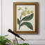 "Antique Botanical Collection X", reproduction d'art sur toile encadrée-79630262