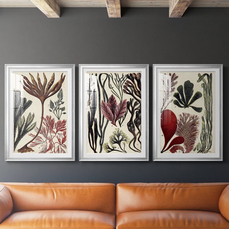 Coral & Seaweed Montage I - Impression sur mesure encadrée de qualité supérieure - 3 pièces