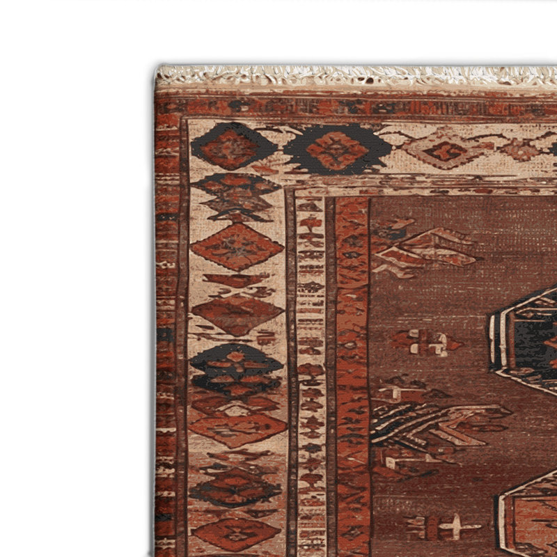 Tapis turc intérieur et extérieur brun, Rectangle 4pi x 6 pi