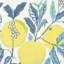 Citrus Garden Sheer Fabric-50801281